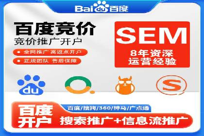行业专家解析SEM代运营成功案例